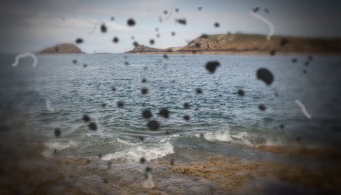 Floaters 2